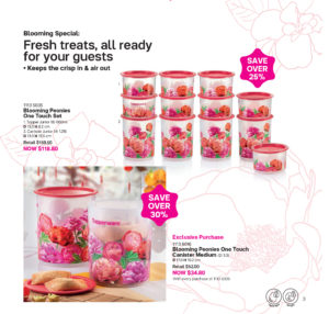 Blooming Peonies One Touch Set
